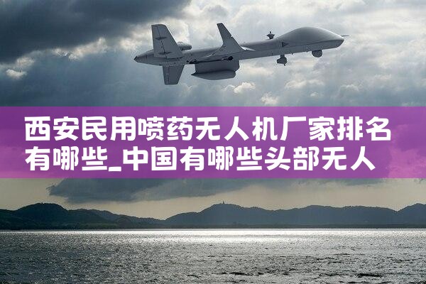 ҩ˻Щ|˻UAV