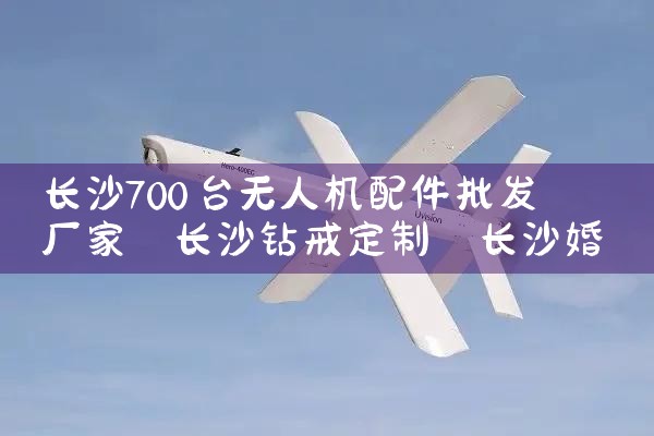 ɳ700̨˻|˻UAV