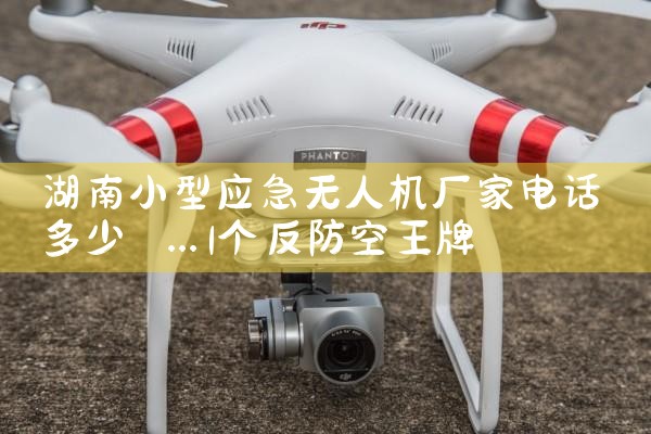 СӦ˻ҵ绰|˻UAV